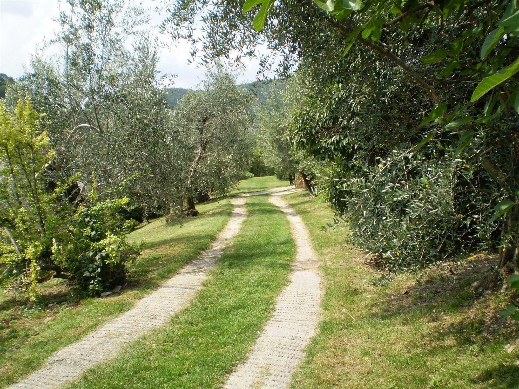 Agriturismo Renzano Garden Apartments Salò Dış mekan fotoğraf